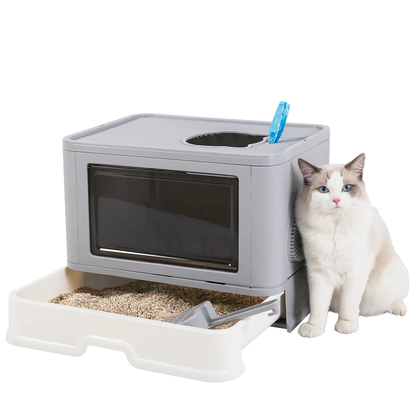 Plastic Cat Litter Box