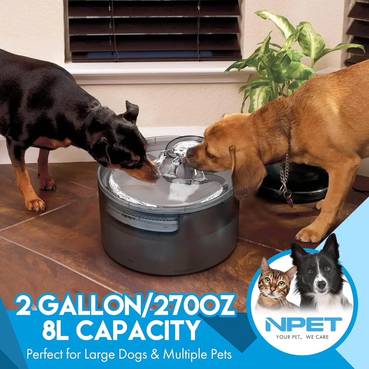 NPET DF30 Dog Water Fountain 2 Gallon Automatic Bowl