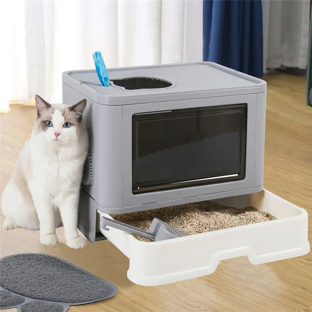 Plastic Cat Litter Box