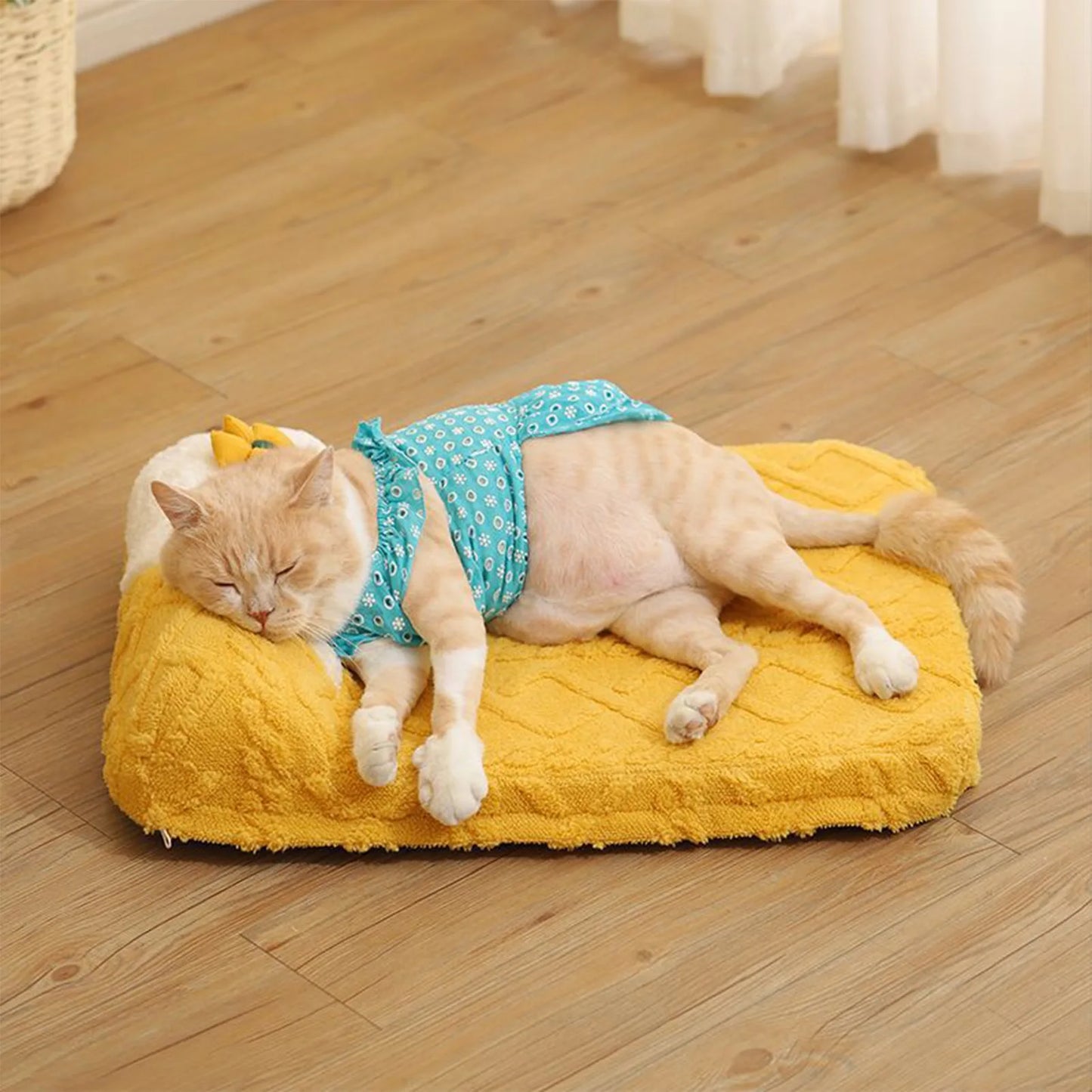 1Pcs/Lot Cute Yellow Cream Cat Beds With Crumb Pillow Comfy