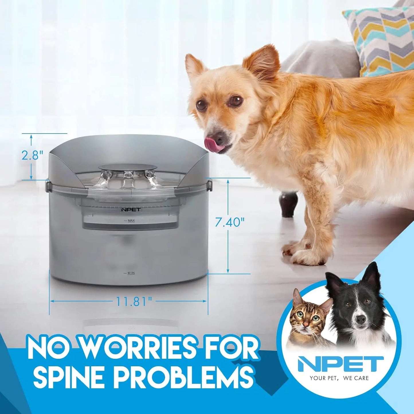 NPET DF30 Dog Water Fountain 2 Gallon Automatic Bowl
