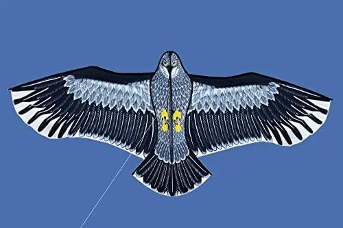 New Outdoor Fun Sports Huge 185cm Eagle Kite For All Ages