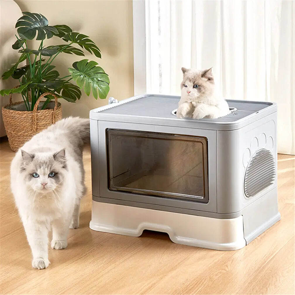 Plastic Cat Litter Box