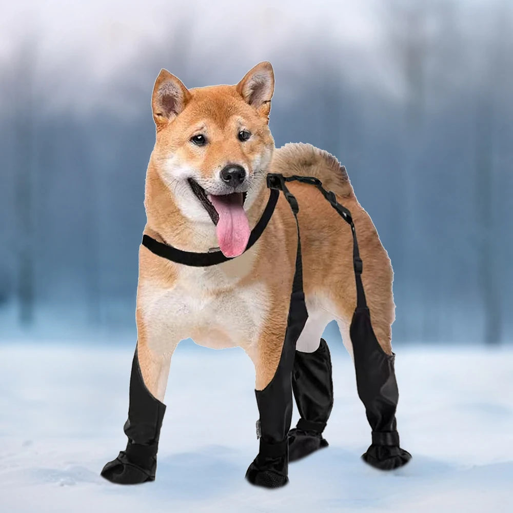 Dog Boot Leggings With Suspender Straps Waterproof For Outdoor Walking