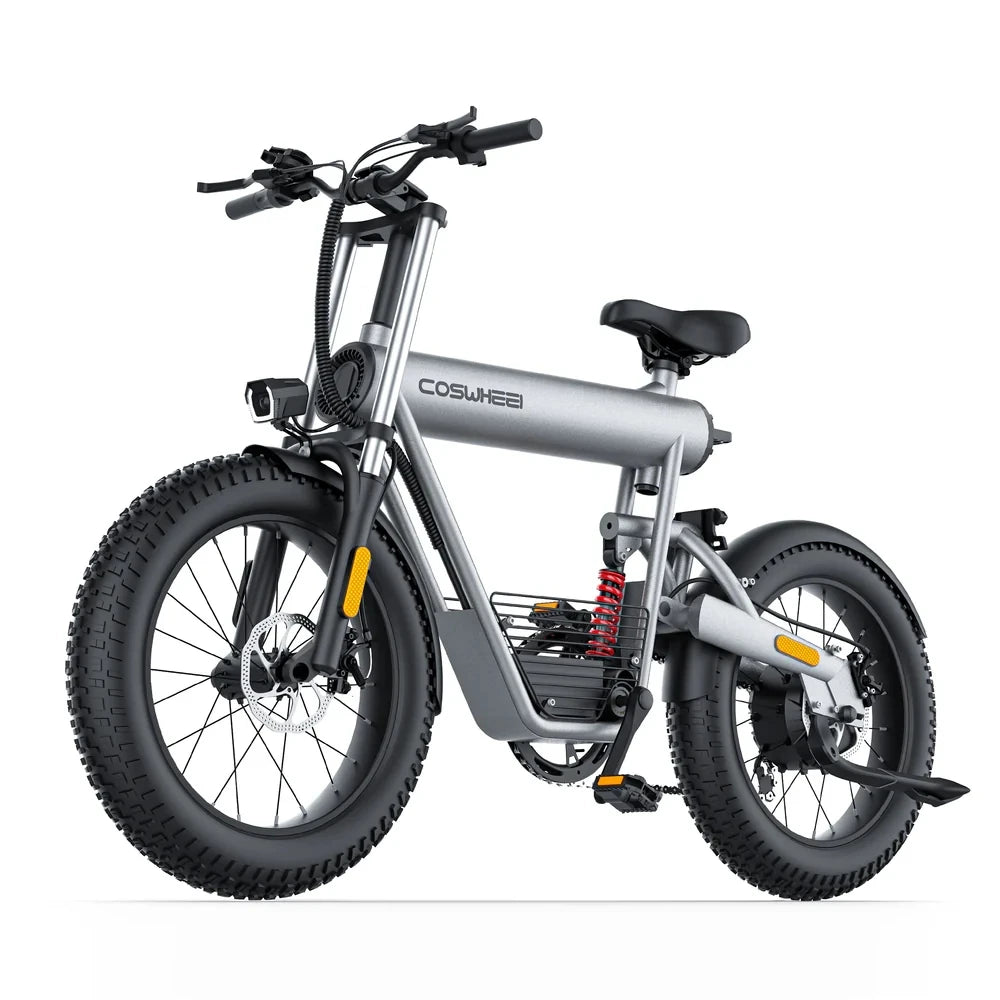 Electric Off Road Bike