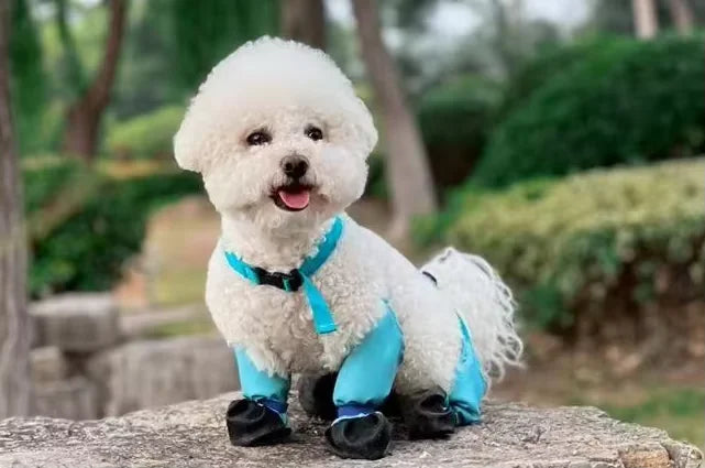 Waterproof Anti Slip Dog Shoes For Outdoor Walking Breathable
