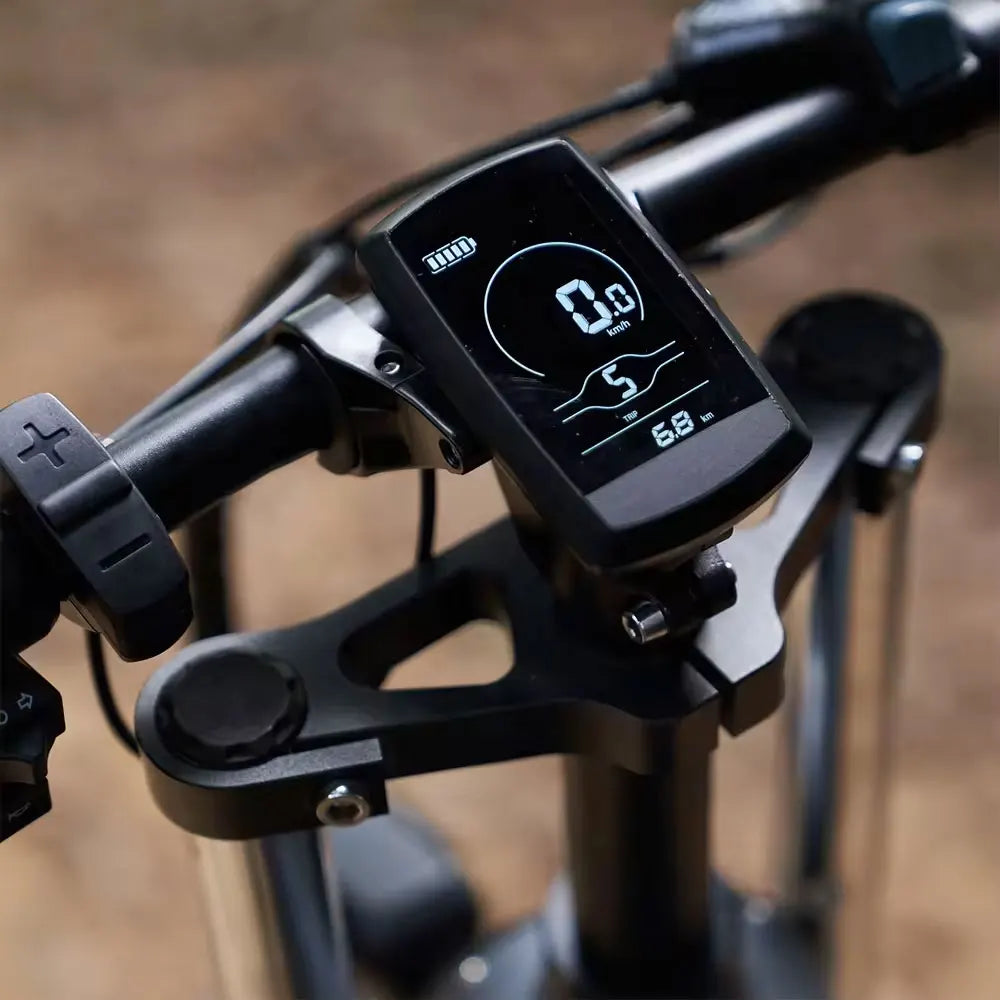 Electric Off Road Bike